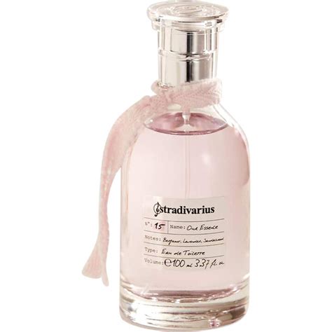 stradivarius no 15